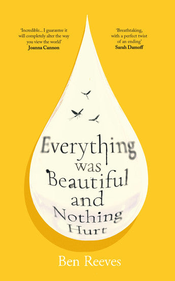 Everything was Beautiful and Nothing Hurt (Released 29/09/26)