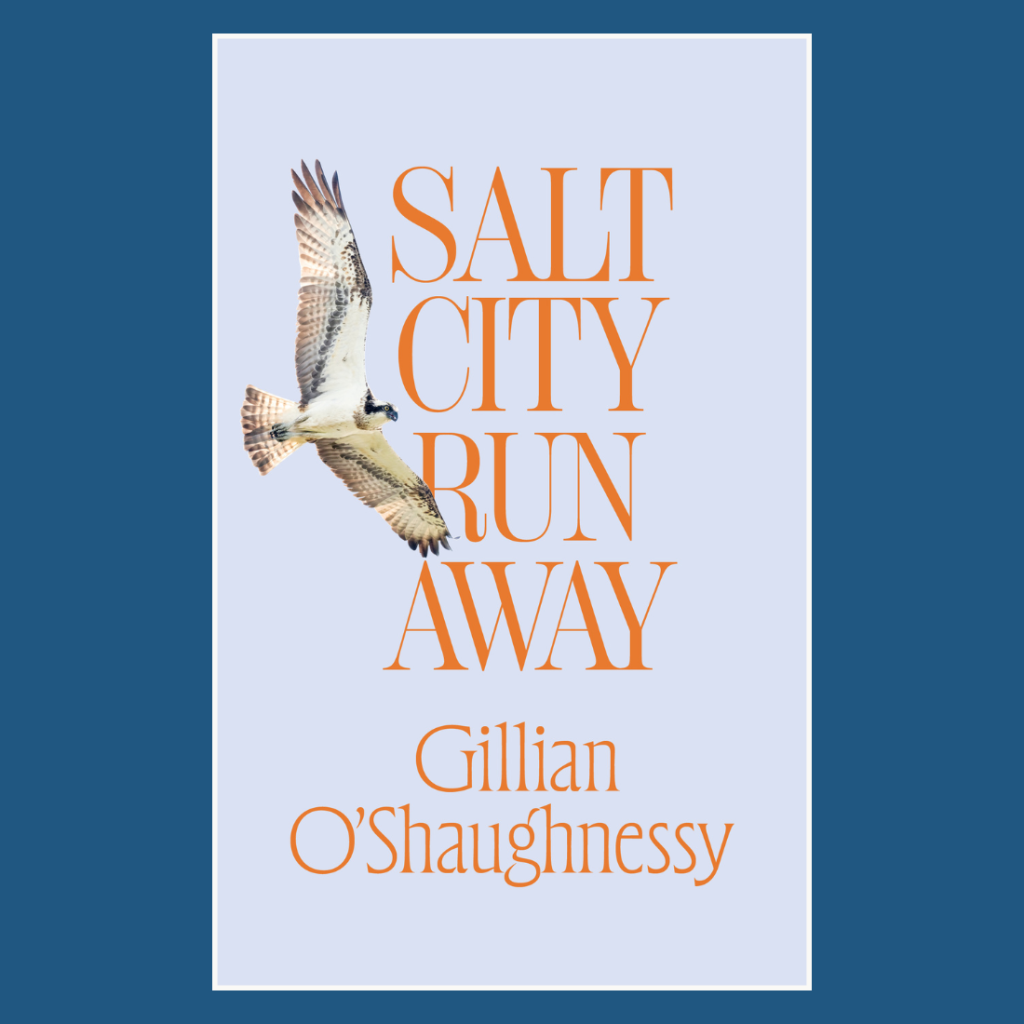 Salt City Runaway