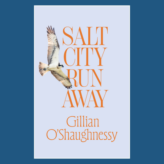 Salt City Runaway