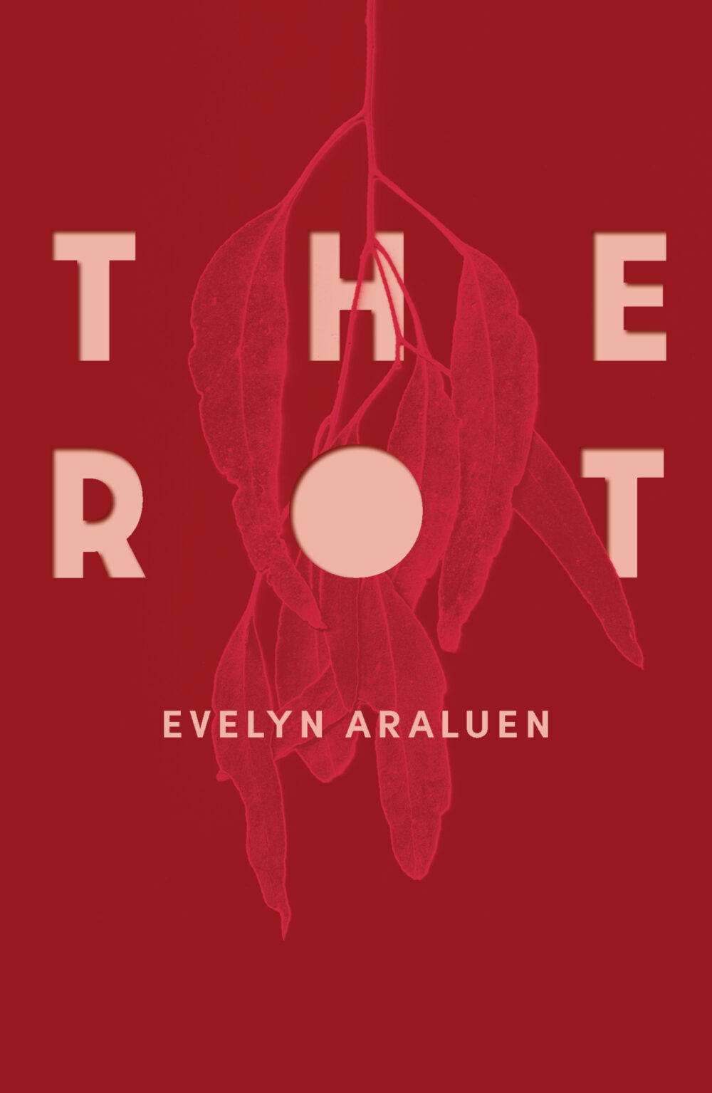 The Rot (Published November 2025)