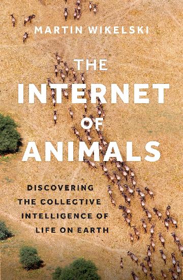 Internet of Animals