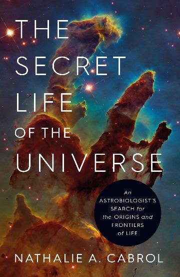 Secret Life of the Universe