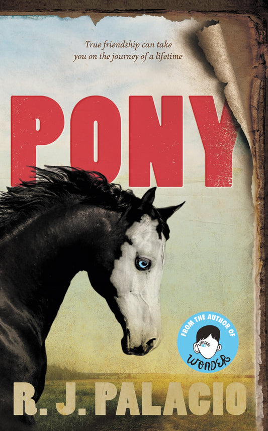 Pony